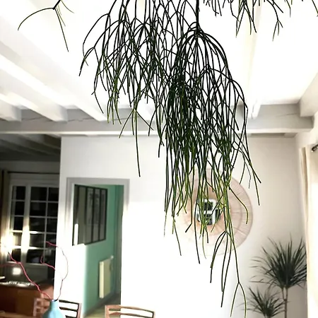 La Casa Aux 2o Prázdninový dům Saint-Paul-lès-Dax